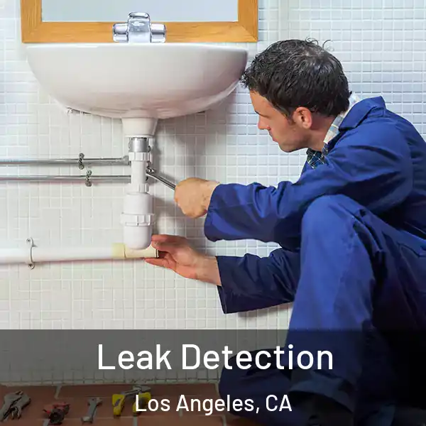  Leak Detection Los Angeles, CA