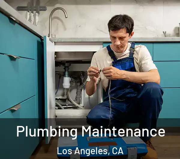  Plumbing Maintenance Los Angeles, CA