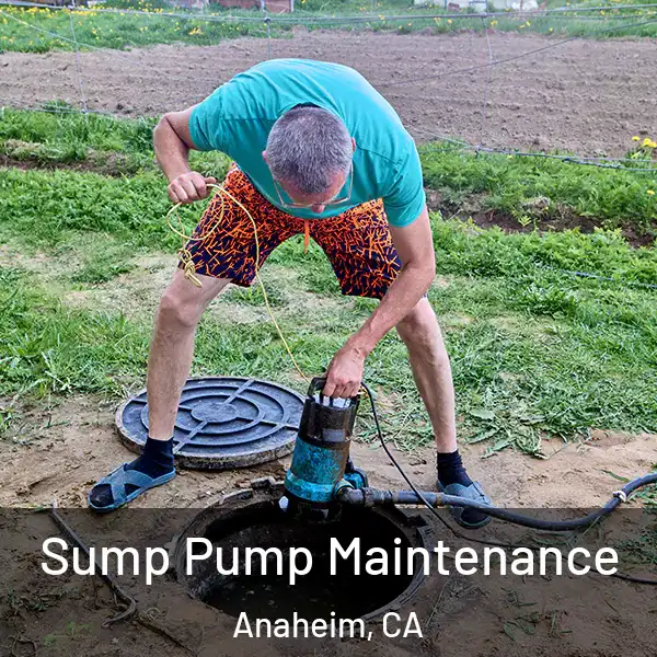  Sump Pump Maintenance Anaheim, CA