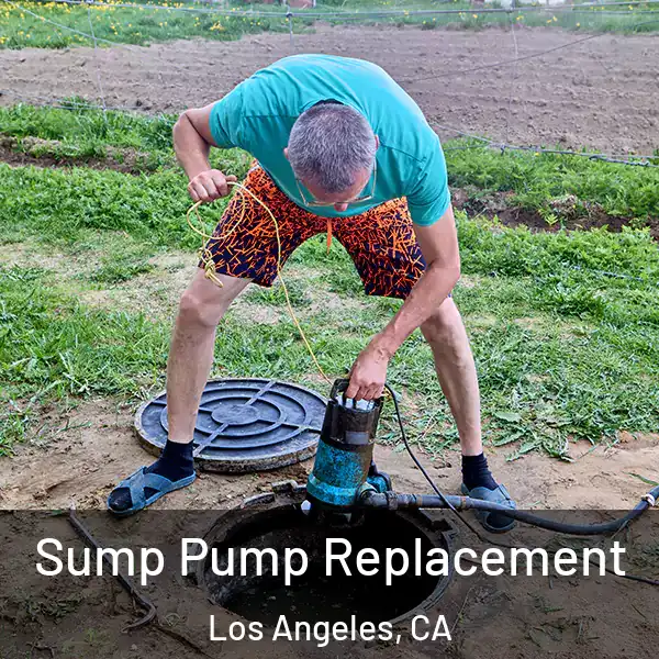  Sump Pump Replacement Los Angeles, CA