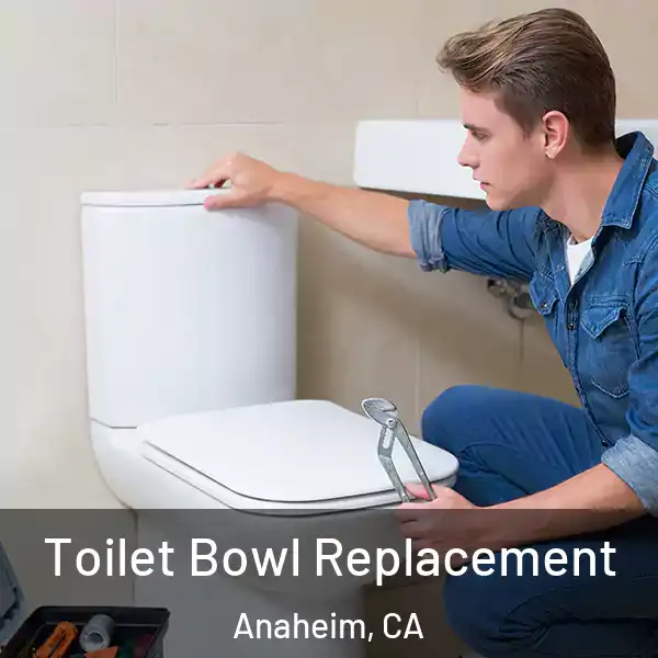 Toilet Bowl Replacement Anaheim, CA