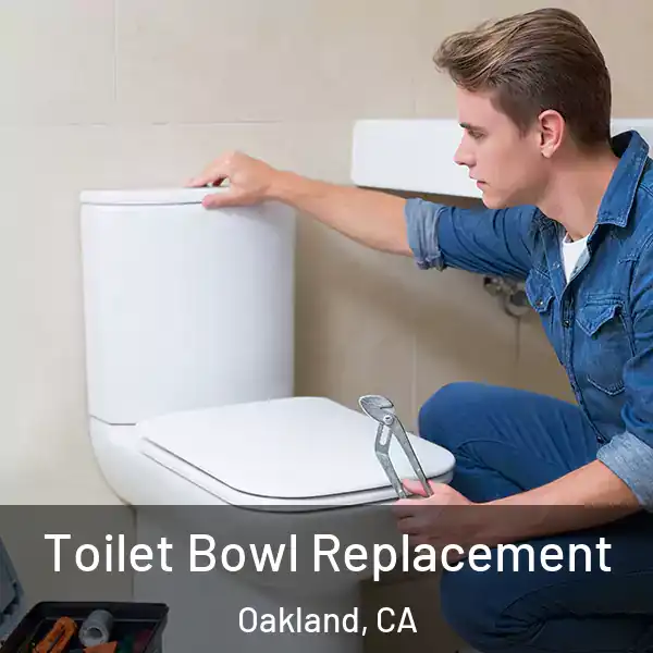  Toilet Bowl Replacement Oakland, CA
