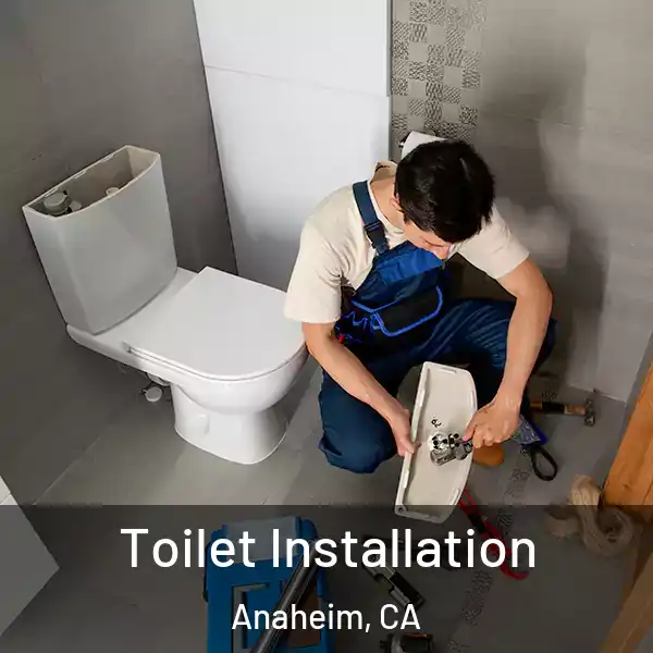  Toilet Installation Anaheim, CA