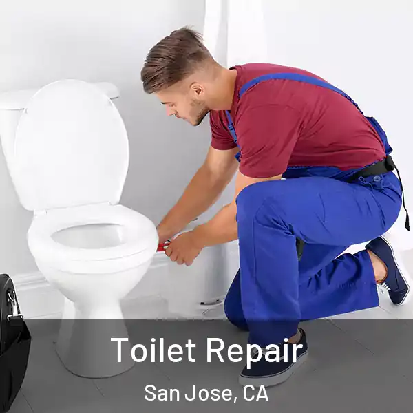  Toilet Repair San Jose, CA
