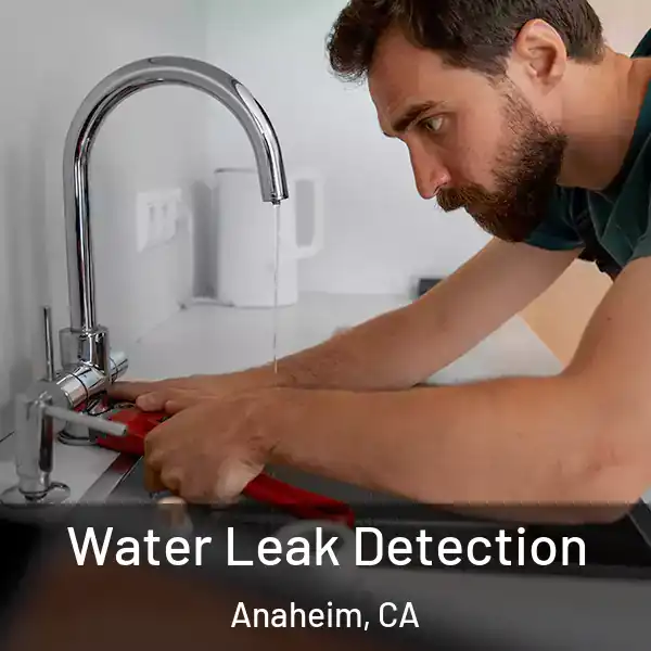  Water Leak Detection Anaheim, CA