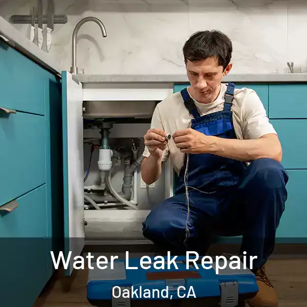  Water Leak Repair Oakland, CA